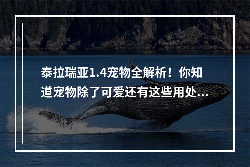 泰拉瑞亚1.4宠物全解析！你知道宠物除了可爱还有这些用处吗？