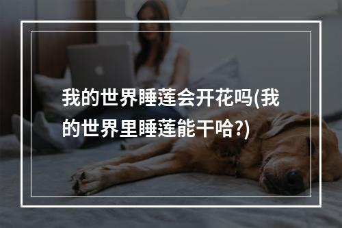 我的世界睡莲会开花吗(我的世界里睡莲能干哈?)