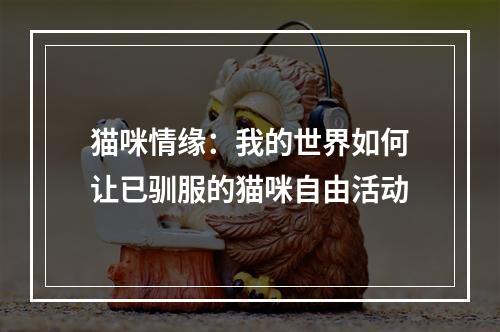 猫咪情缘：我的世界如何让已驯服的猫咪自由活动