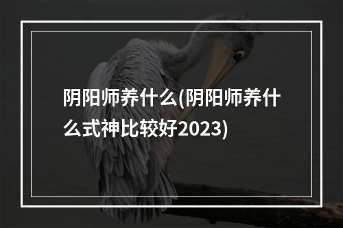 阴阳师养什么(阴阳师养什么式神比较好2023)