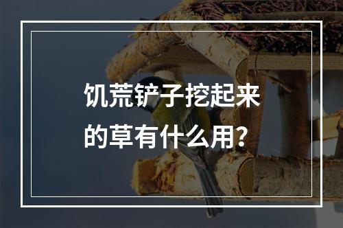 饥荒铲子挖起来的草有什么用？