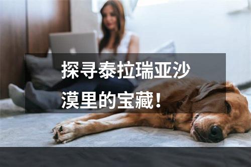 探寻泰拉瑞亚沙漠里的宝藏！