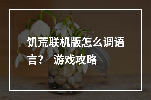 饥荒联机版怎么调语言？  游戏攻略