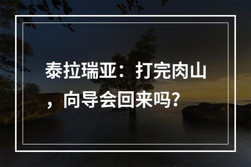 泰拉瑞亚：打完肉山，向导会回来吗？