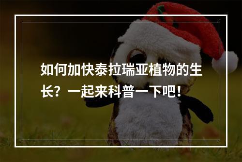 如何加快泰拉瑞亚植物的生长？一起来科普一下吧！