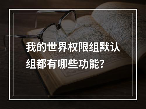 我的世界权限组默认组都有哪些功能？