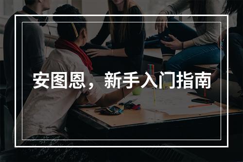 安图恩，新手入门指南