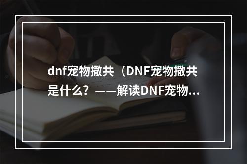 dnf宠物撒共（DNF宠物撒共是什么？——解读DNF宠物撒共的奥秘）