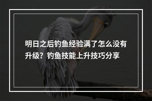 明日之后钓鱼经验满了怎么没有升级？钓鱼技能上升技巧分享