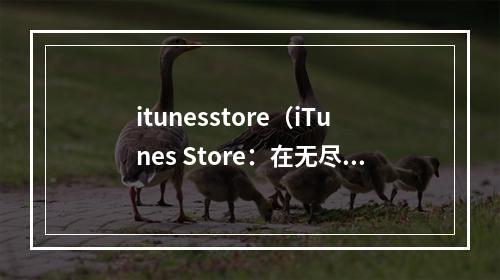 itunesstore（iTunes Store：在无尽游戏世界中寻找乐趣）