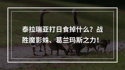 泰拉瑞亚打日食掉什么？战胜魔影蛛、葛兰玛斯之力！