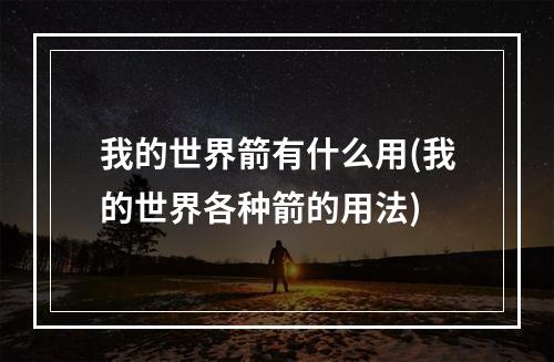 我的世界箭有什么用(我的世界各种箭的用法)