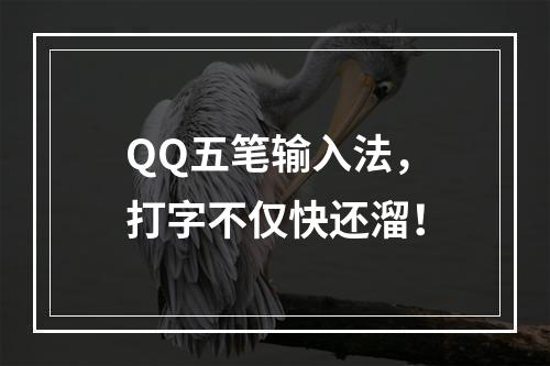 QQ五笔输入法，打字不仅快还溜！