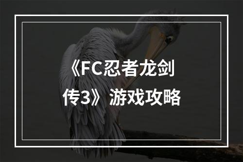 《FC忍者龙剑传3》游戏攻略