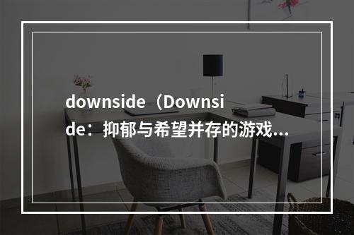 downside（Downside：抑郁与希望并存的游戏世界）