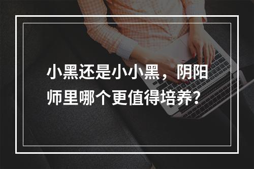 小黑还是小小黑，阴阳师里哪个更值得培养？