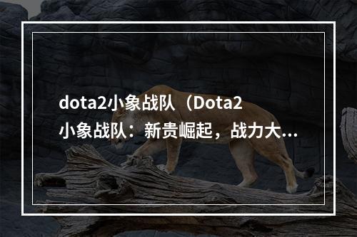 dota2小象战队（Dota2小象战队：新贵崛起，战力大涨，稳坐巅峰！）