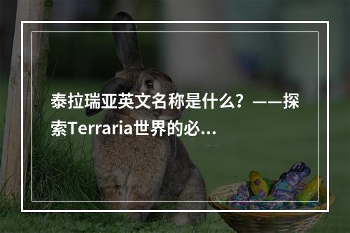 泰拉瑞亚英文名称是什么？——探索Terraria世界的必知信息！