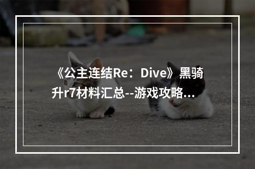 《公主连结Re：Dive》黑骑升r7材料汇总--游戏攻略网