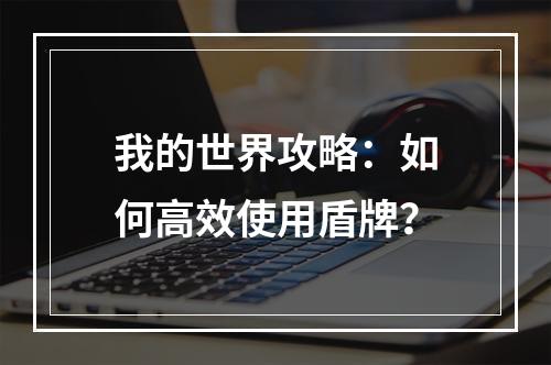 我的世界攻略：如何高效使用盾牌？