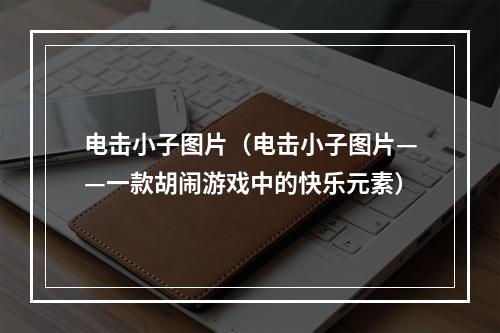 电击小子图片（电击小子图片——一款胡闹游戏中的快乐元素）