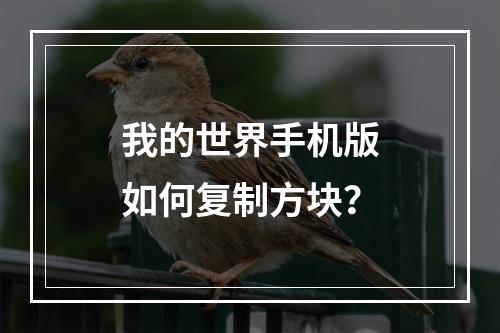 我的世界手机版如何复制方块？