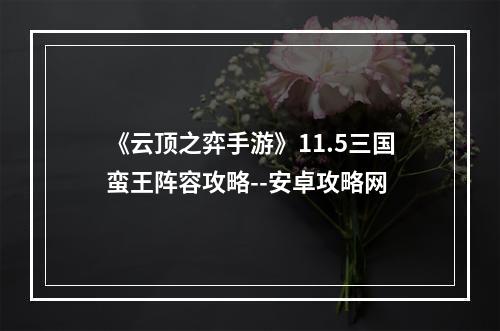 《云顶之弈手游》11.5三国蛮王阵容攻略--安卓攻略网