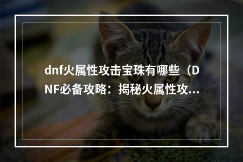 dnf火属性攻击宝珠有哪些（DNF必备攻略：揭秘火属性攻击宝珠的全貌）