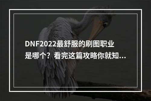 DNF2022最舒服的刷图职业是哪个？看完这篇攻略你就知道了！