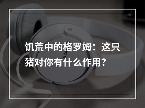 饥荒中的格罗姆：这只猪对你有什么作用？