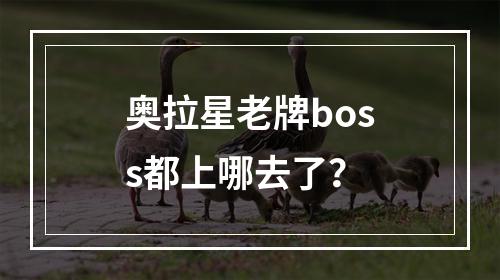 奥拉星老牌boss都上哪去了？