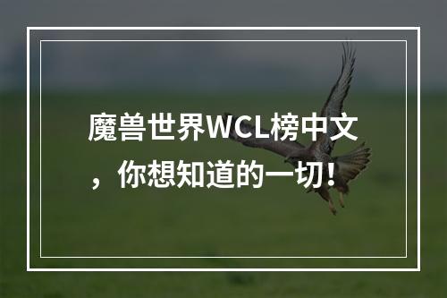 魔兽世界WCL榜中文，你想知道的一切！