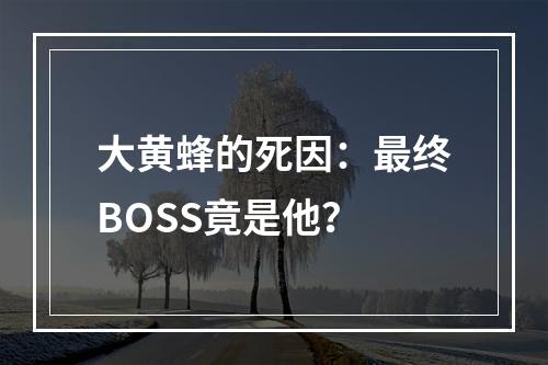 大黄蜂的死因：最终BOSS竟是他？