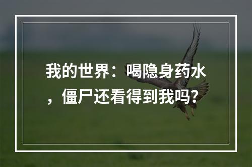 我的世界：喝隐身药水，僵尸还看得到我吗？