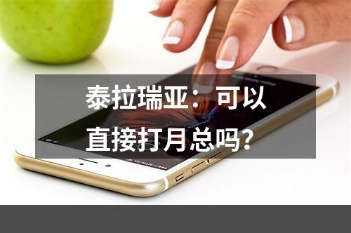 泰拉瑞亚：可以直接打月总吗？