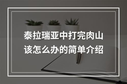 泰拉瑞亚中打完肉山该怎么办的简单介绍