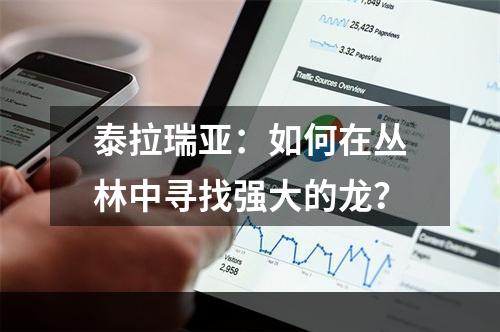 泰拉瑞亚：如何在丛林中寻找强大的龙？