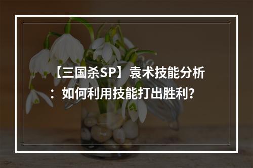 【三国杀SP】袁术技能分析：如何利用技能打出胜利？