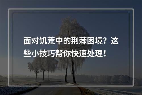 面对饥荒中的荆棘困境？这些小技巧帮你快速处理！