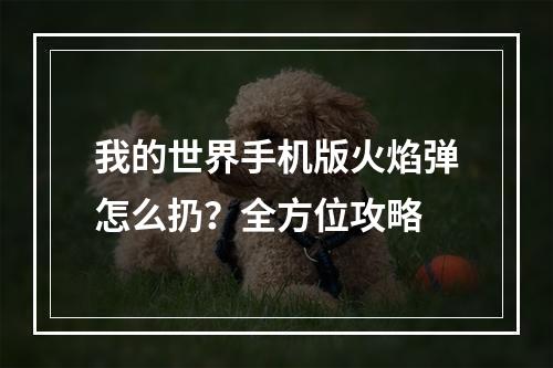 我的世界手机版火焰弹怎么扔？全方位攻略