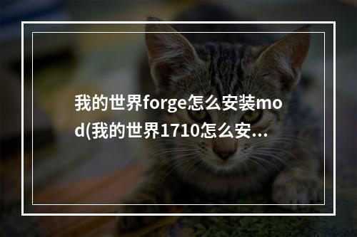 我的世界forge怎么安装mod(我的世界1710怎么安装forge)