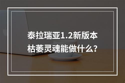 泰拉瑞亚1.2新版本枯萎灵魂能做什么？