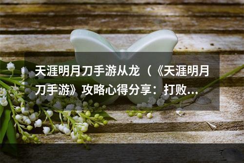 天涯明月刀手游从龙（《天涯明月刀手游》攻略心得分享：打败巨龙走向巅峰！）