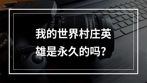 我的世界村庄英雄是永久的吗？