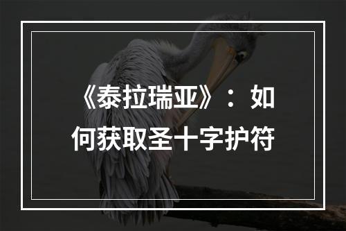 《泰拉瑞亚》：如何获取圣十字护符