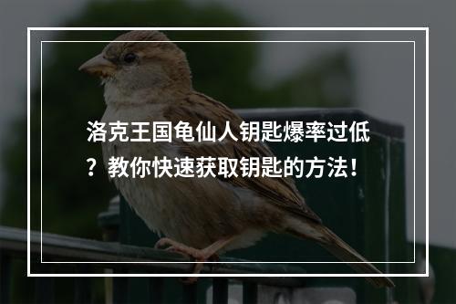 洛克王国龟仙人钥匙爆率过低？教你快速获取钥匙的方法！