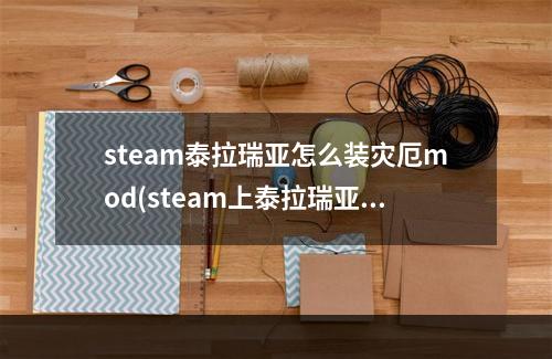 steam泰拉瑞亚怎么装灾厄mod(steam上泰拉瑞亚怎么装灾厄mod)