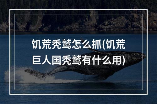 饥荒秃鹫怎么抓(饥荒巨人国秃鹫有什么用)