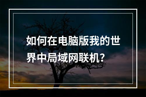 如何在电脑版我的世界中局域网联机？