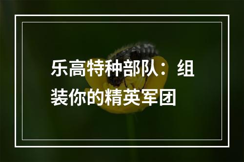 乐高特种部队：组装你的精英军团